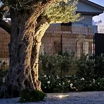 Ortosalato Agricamping *