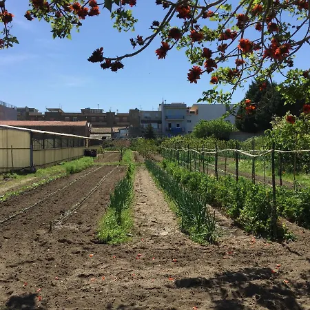 אתר קמפינג Ortosalato Agricamping *
