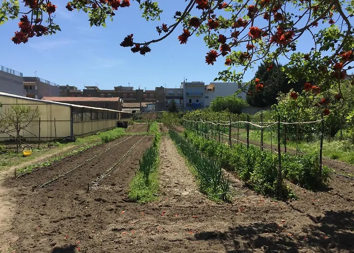 Kemping Ortosalato Agricamping *