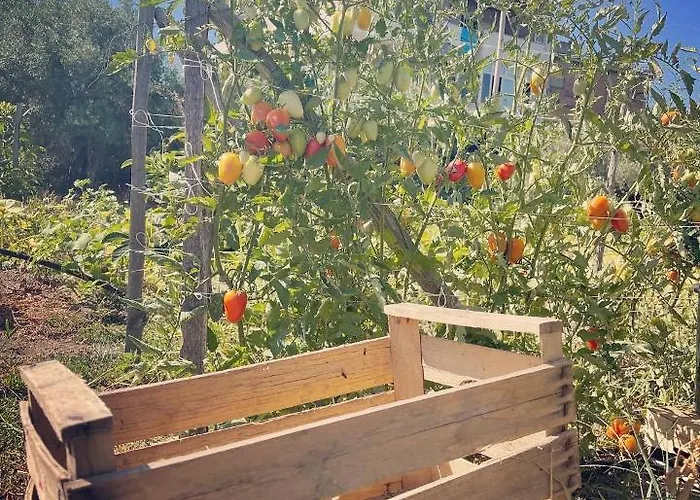 Kemping Ortosalato Agricamping *