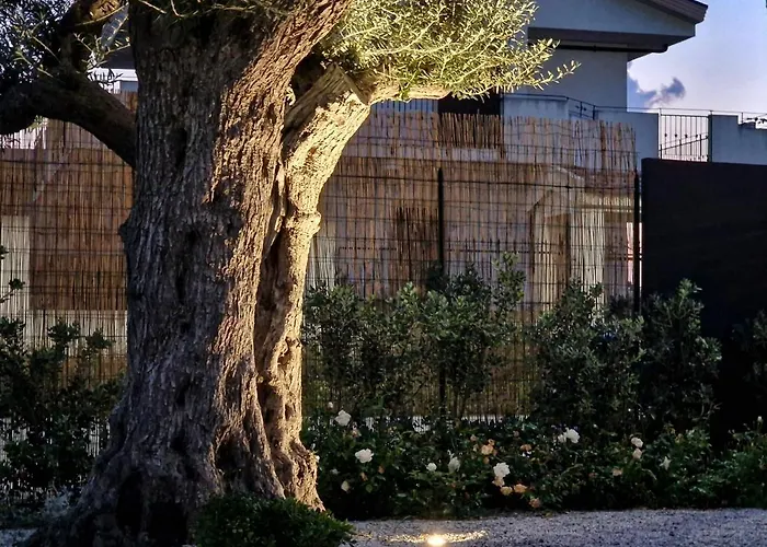 Ortosalato Agricamping *